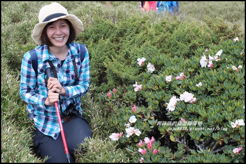 合歡東峰39.JPG 合歡東峰39.JPG