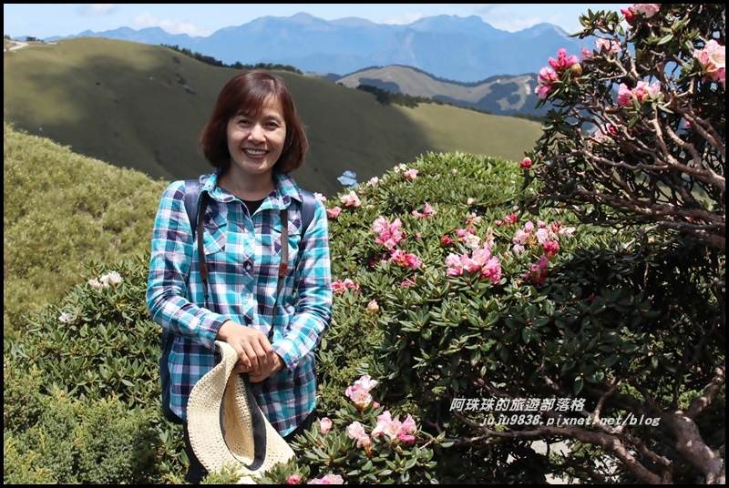 合歡東峰47.JPG 合歡東峰47.JPG