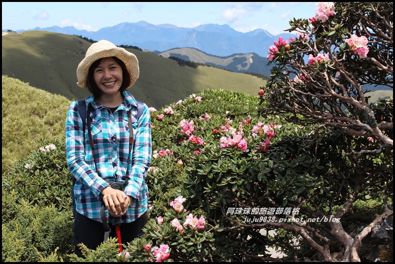 合歡東峰46.JPG 合歡東峰46.JPG