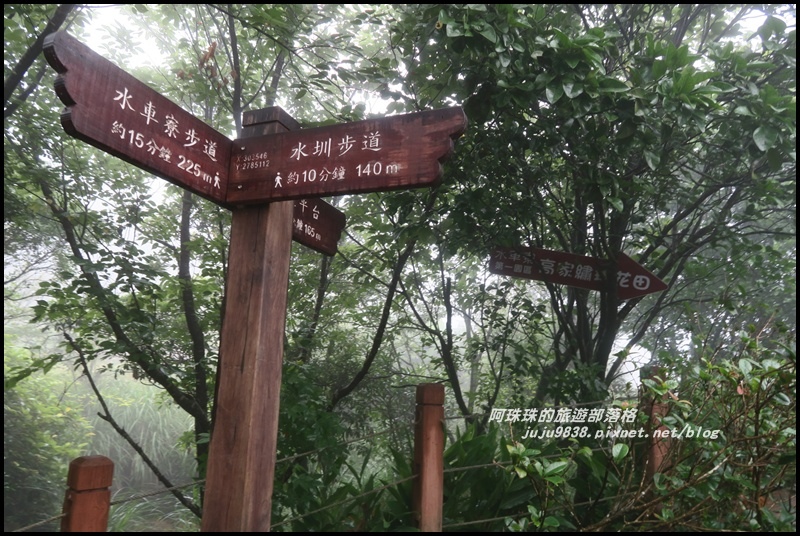 竹子湖繡球花6.JPG 竹子湖繡球花6.JPG