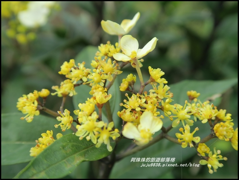 桃源谷11.JPG 桃源谷11.JPG