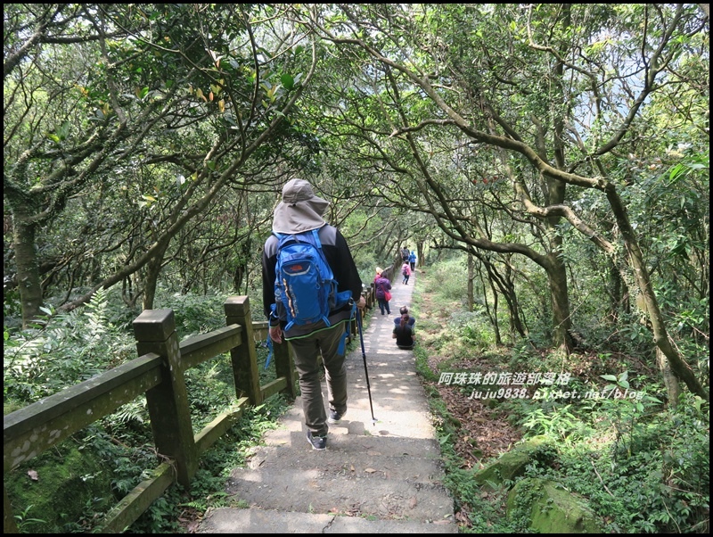 桃源谷15.JPG 桃源谷15.JPG