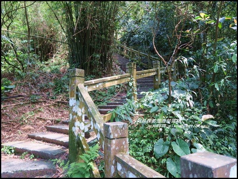 桃源谷19.JPG 桃源谷19.JPG