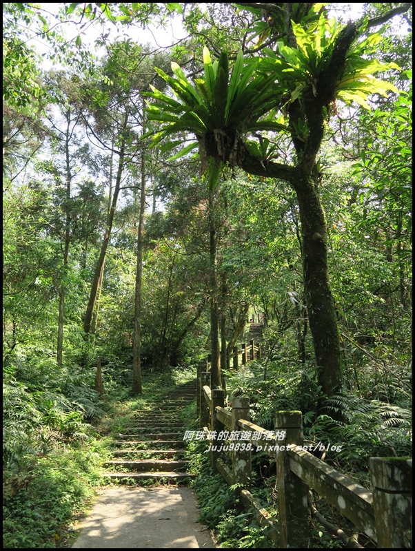 桃源谷24.JPG 桃源谷24.JPG