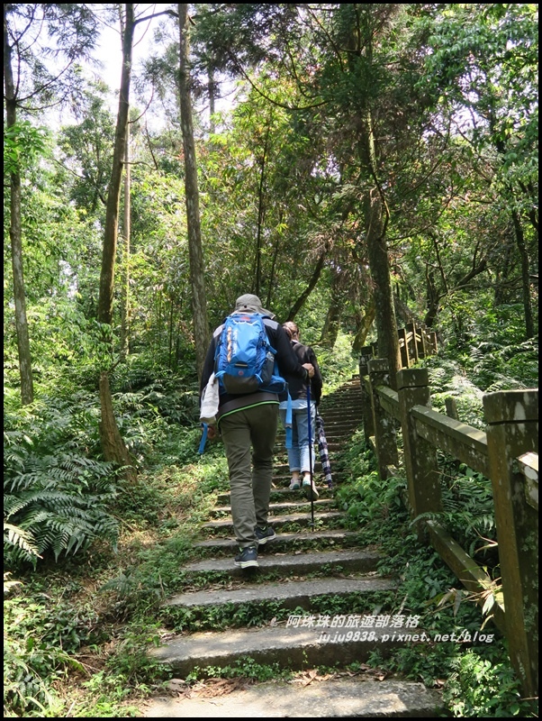 桃源谷25.JPG 桃源谷25.JPG