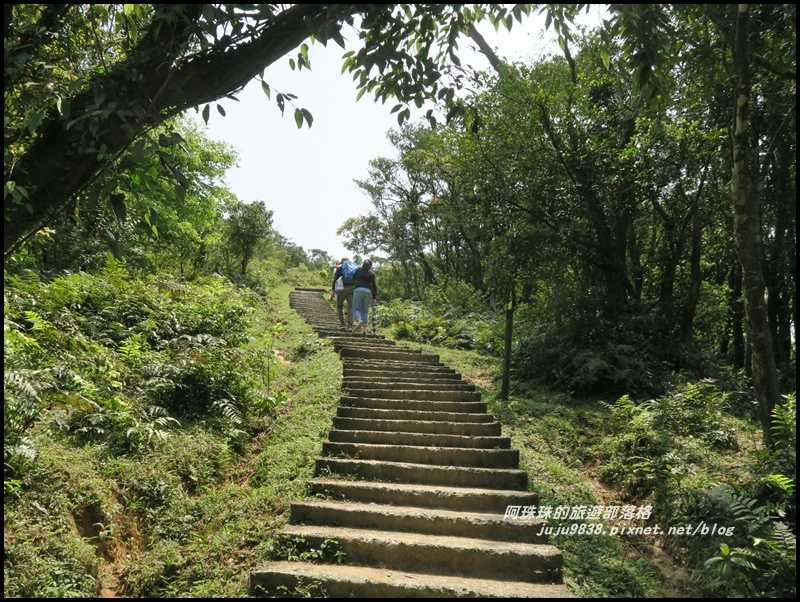 桃源谷29.JPG 桃源谷29.JPG