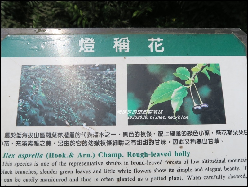 桃源谷33.JPG 桃源谷33.JPG