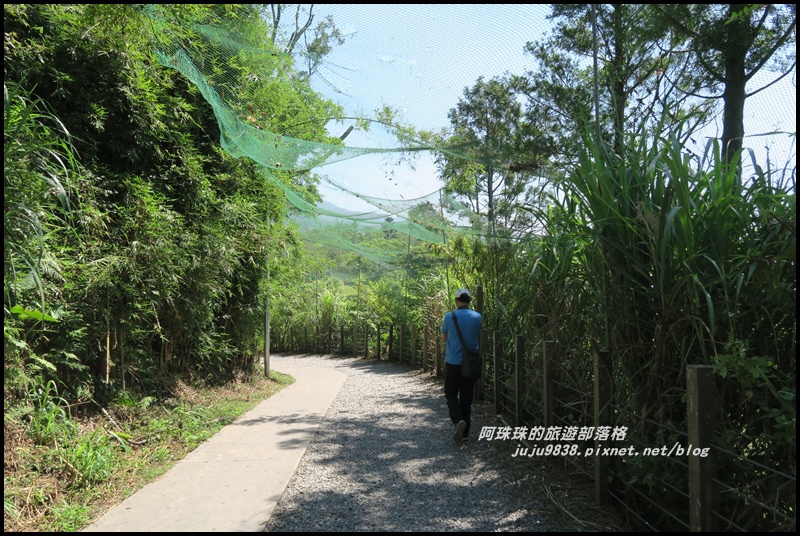 林美石磐步道2.JPG 林美石磐步道2.JPG