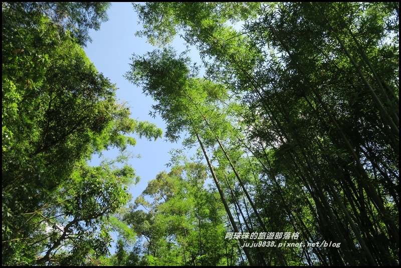 林美石磐步道12.JPG 林美石磐步道12.JPG