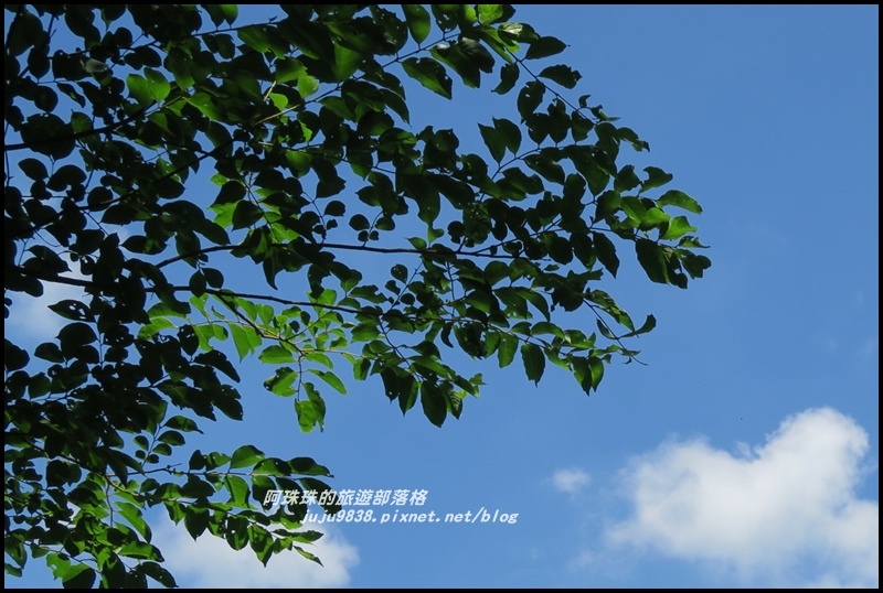 林美石磐步道20.JPG 林美石磐步道20.JPG