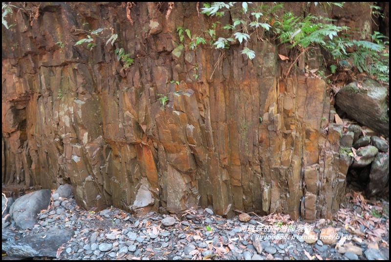 林美石磐步道25.JPG 林美石磐步道25.JPG