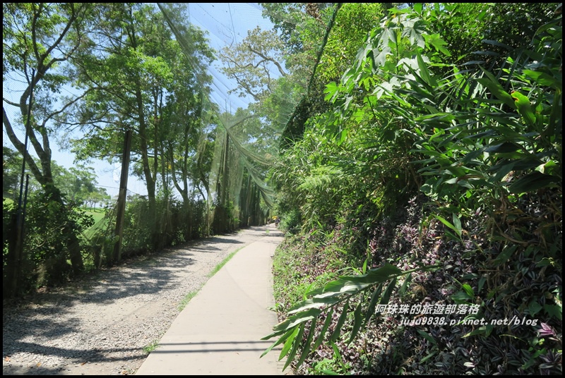 林美石磐步道30.JPG 林美石磐步道30.JPG