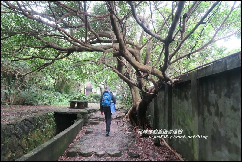 南子吝步道5.JPG 南子吝步道5.JPG