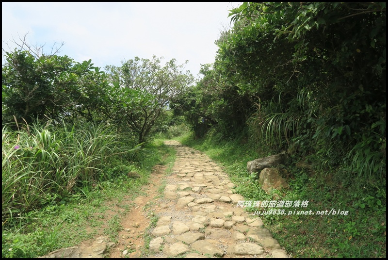 南子吝步道13.JPG 南子吝步道13.JPG