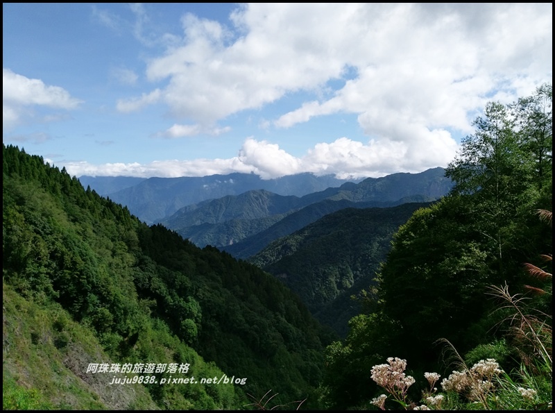 特富野古道1.jpg