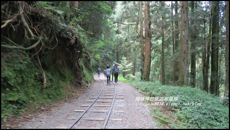 特富野古道4.JPG 特富野古道4.JPG