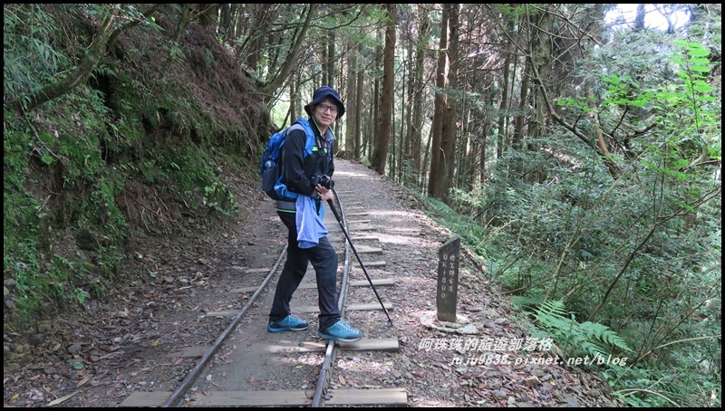 特富野古道5.JPG