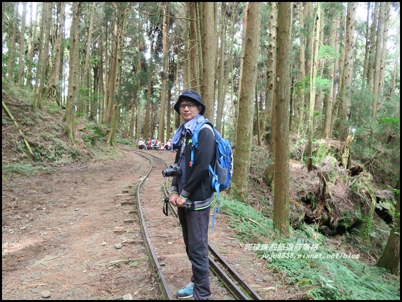 特富野古道9.JPG