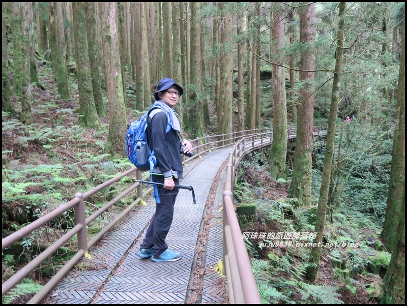 特富野古道12.JPG