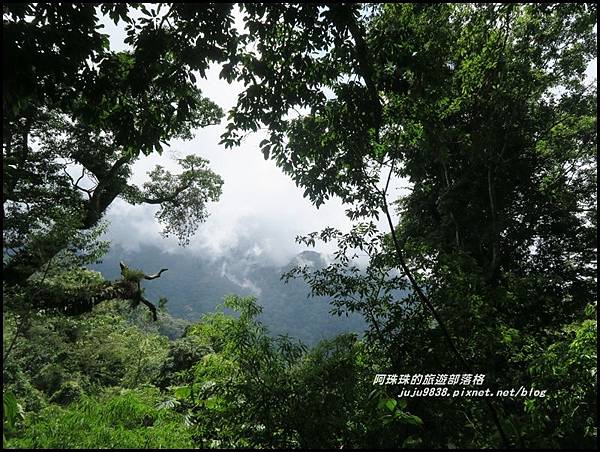 特富野古道20.JPG