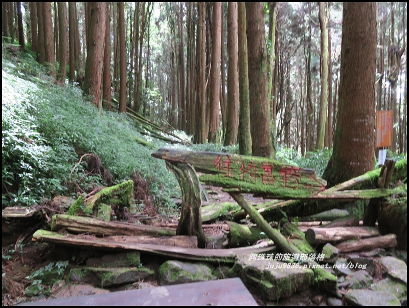 特富野古道30.JPG 特富野古道30.JPG