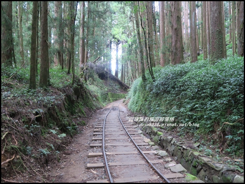 特富野古道31.JPG