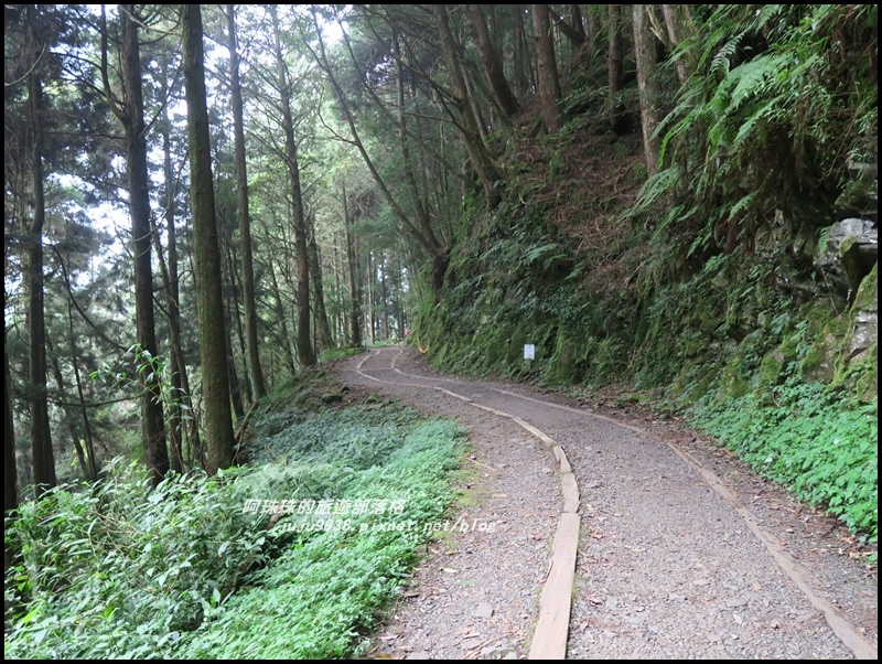 特富野古道34.JPG