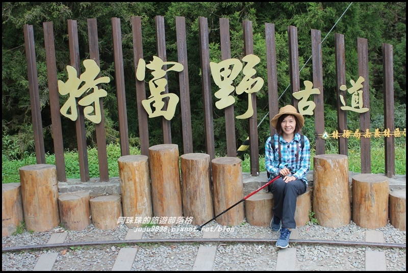 特富野古道36.JPG