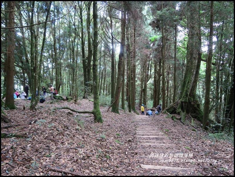 特富野古道44.JPG