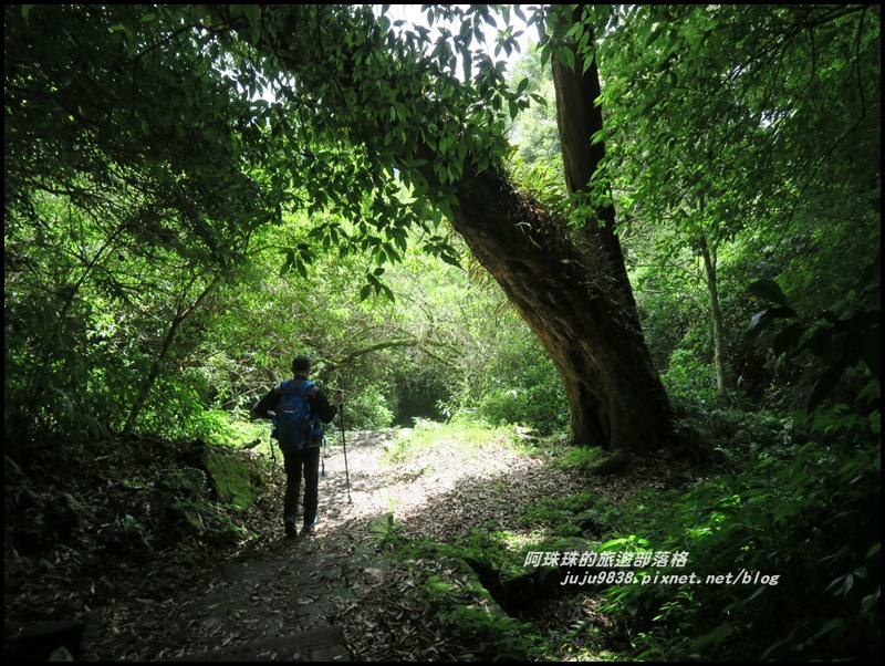 特富野古道46.JPG 特富野古道46.JPG