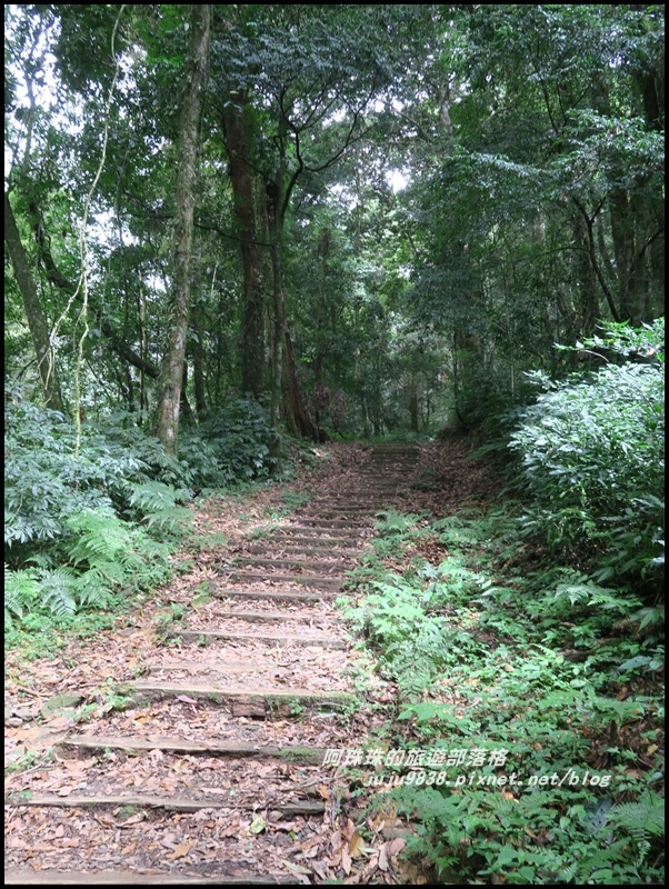 特富野古道47.JPG