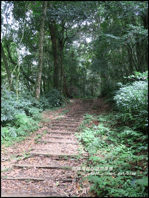 特富野古道47.JPG 特富野古道47.JPG
