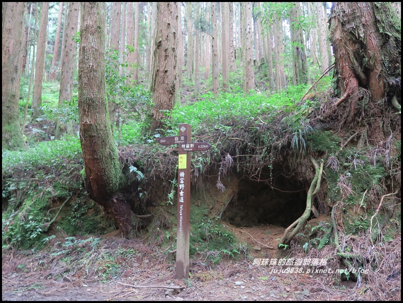 特富野古道49