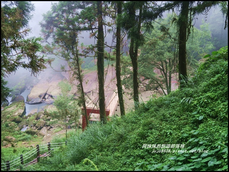 杉林溪3.JPG 杉林溪3.JPG