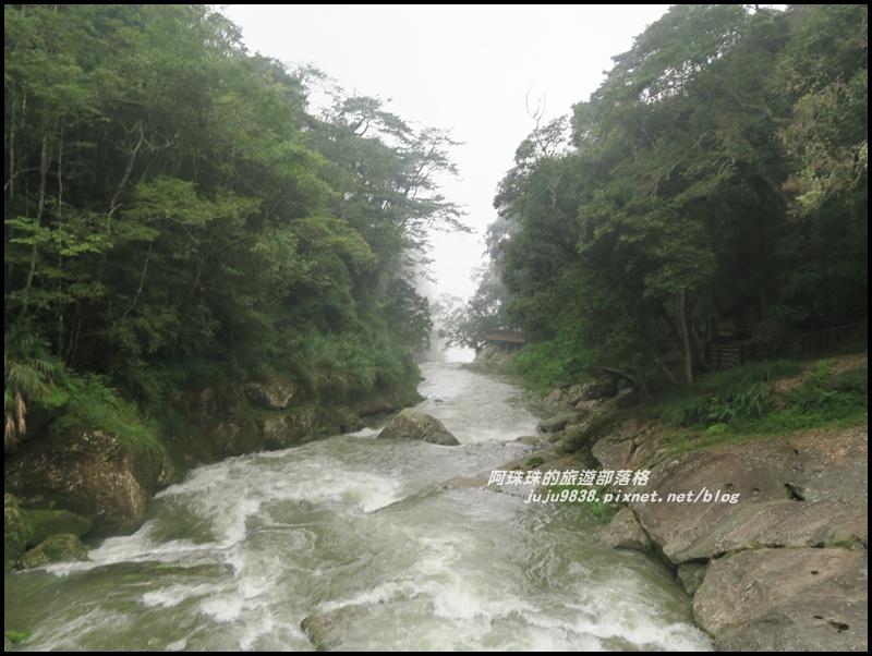 杉林溪10.JPG 杉林溪10.JPG