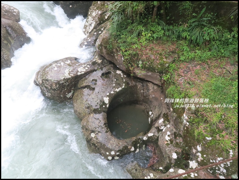 杉林溪13.JPG 杉林溪13.JPG