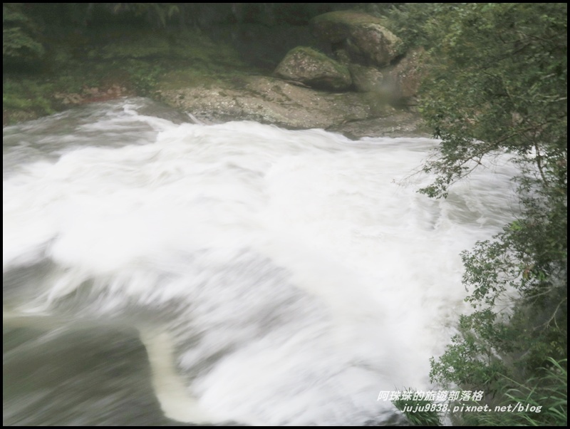 杉林溪14.JPG 杉林溪14.JPG