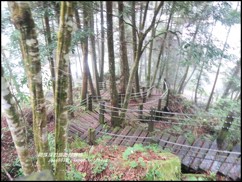 杉林溪20.JPG 杉林溪20.JPG