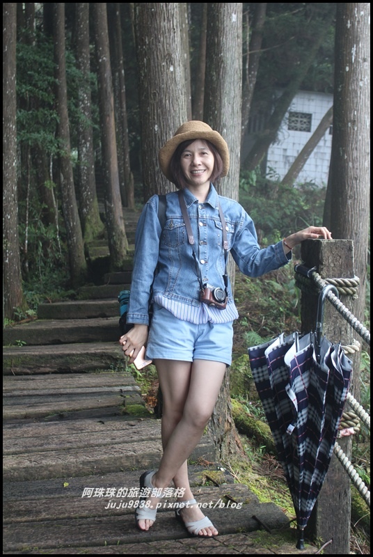 杉林溪28.JPG 杉林溪28.JPG