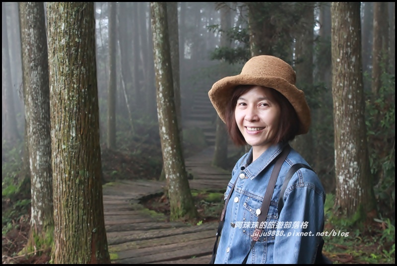 杉林溪29.JPG 杉林溪29.JPG