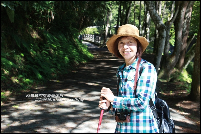 杉林溪32.JPG 杉林溪32.JPG