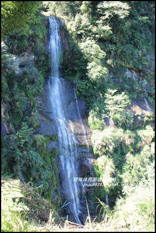 杉林溪40.JPG 杉林溪40.JPG