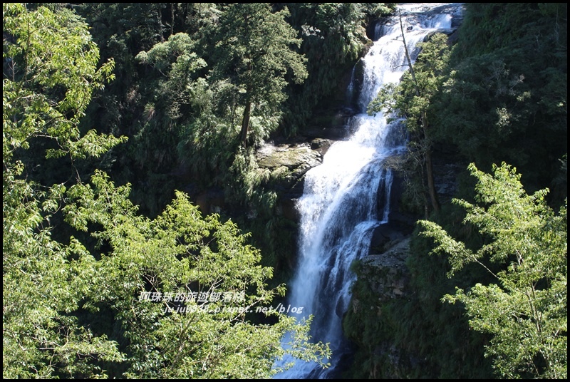 杉林溪41.JPG 杉林溪41.JPG