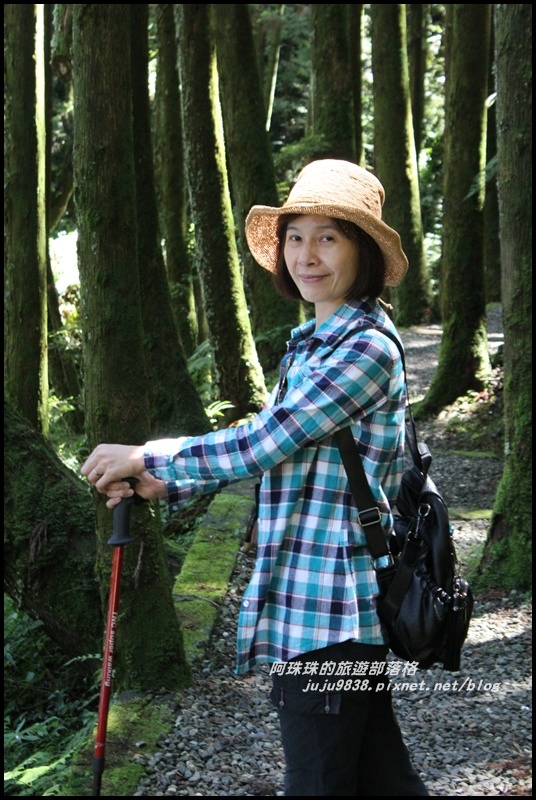 杉林溪43.JPG 杉林溪43.JPG
