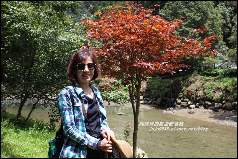 杉林溪46.JPG 杉林溪46.JPG