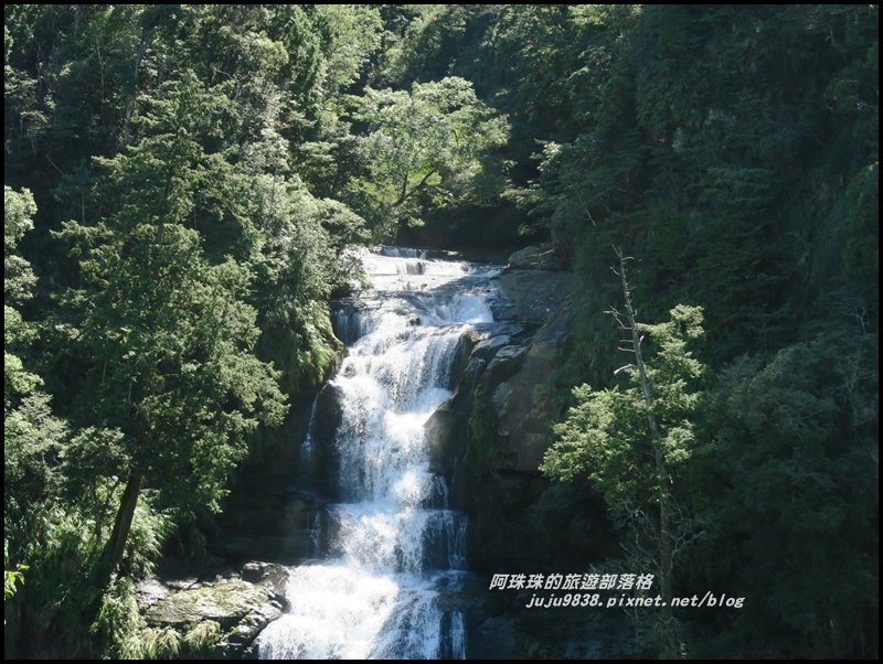 杉林溪57.JPG 杉林溪57.JPG