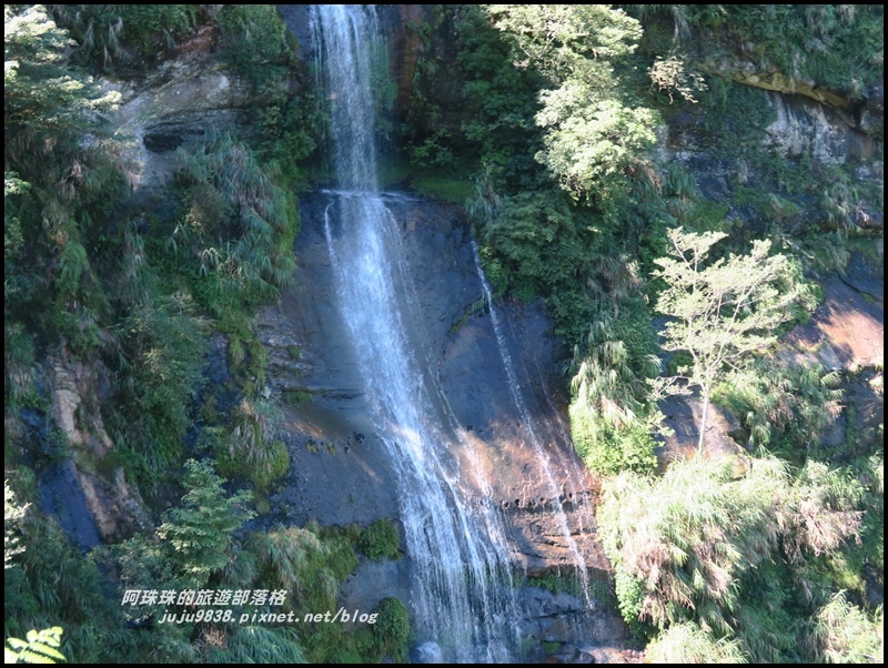 杉林溪58.JPG 杉林溪58.JPG