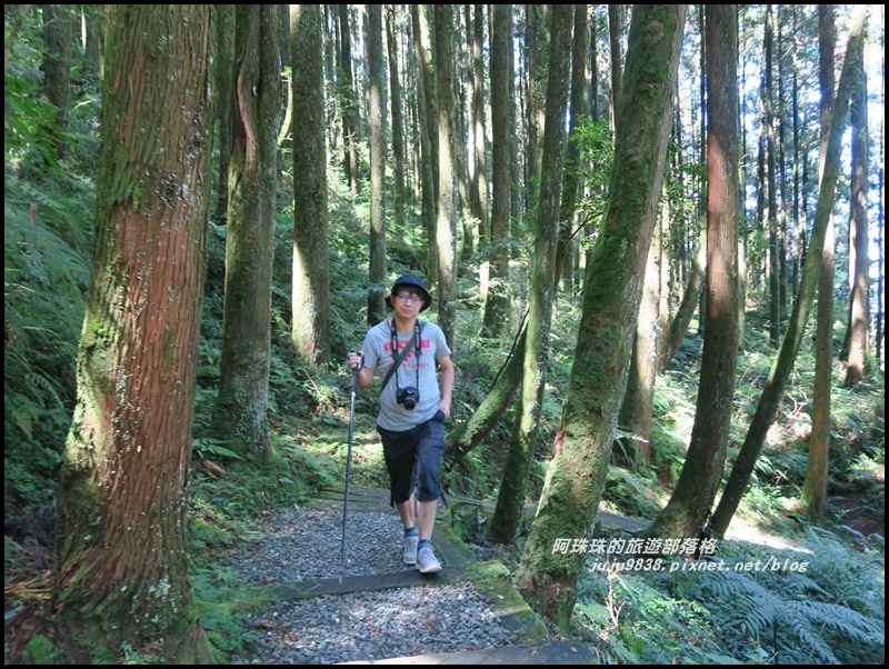 杉林溪59.JPG 杉林溪59.JPG