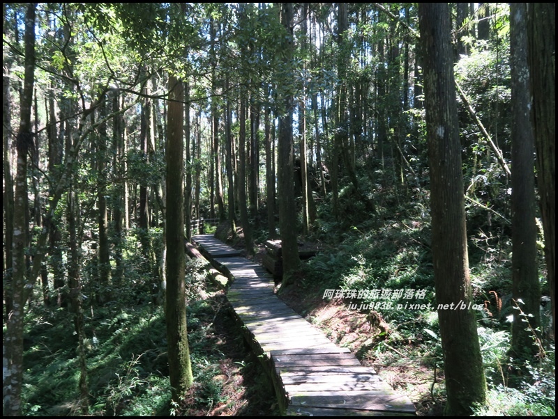 杉林溪61.JPG 杉林溪61.JPG