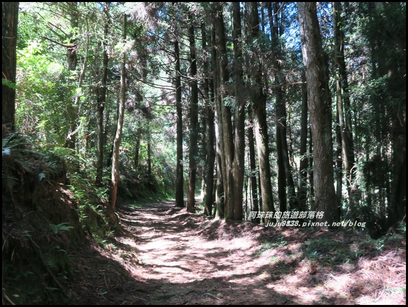 杉林溪64.JPG 杉林溪64.JPG
